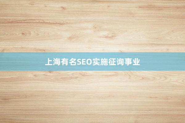 上海有名SEO实施征询事业