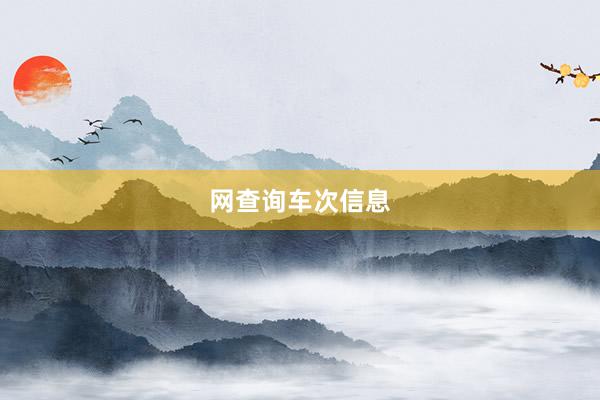 网查询车次信息