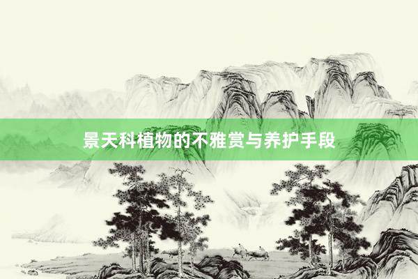 景天科植物的不雅赏与养护手段