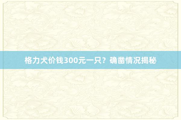 格力犬价钱300元一只？确凿情况揭秘