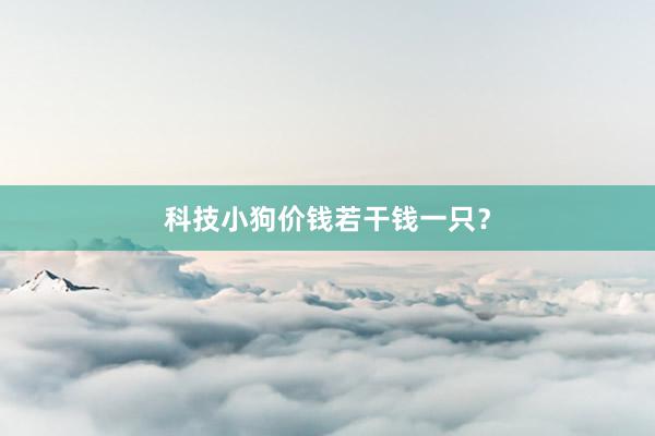 科技小狗价钱若干钱一只?